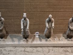 -秦始皇帝陵博物院-丽山园