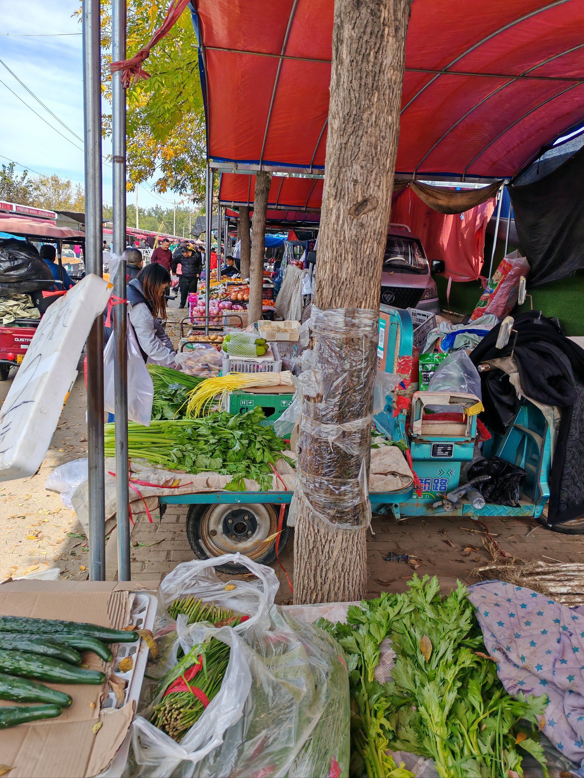 农家市集逛起来