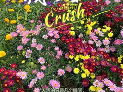 -郑州植物园
