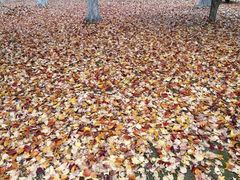 -白塘生态植物园