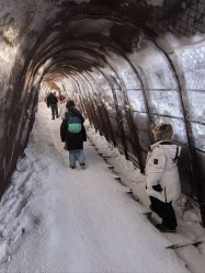 -大秃顶子山