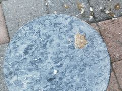 -清真·二嫂子煎饼果子(鼓楼旗舰形象店)