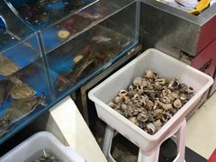 -宾朋海鲜特色美食餐厅·纯手工鲅鱼水饺(兴海路店)