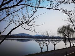 -羊山湖公园