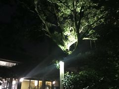 -旅马餐厅(茅家埠店)