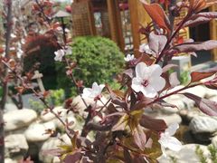 -太白山御龙湾温泉