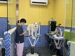 -瑞鹏宠物医院·内科·中兽医·骨科(苗圃店)