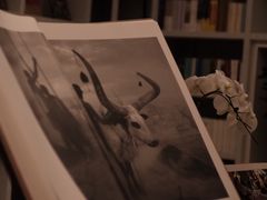 -二酉书店TOYOU BOOKS