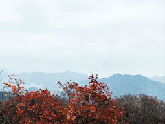 -周口店坡峰岭风景区