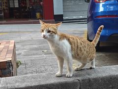 -老板很二(前山店)