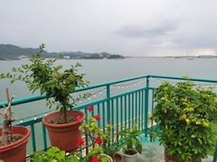 -望湖烤鱼