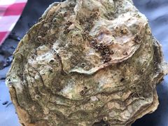 炭烧蚝-雅憩花园餐厅