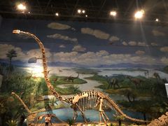 -自贡恐龙博物馆