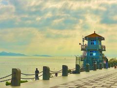 -福田红树林生态公园