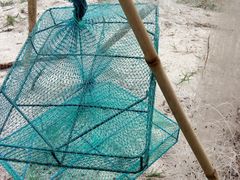 -北海金海湾红树林生态旅游区