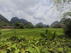 -靖西鹅泉风景区