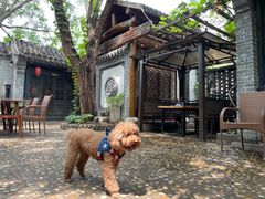-悦真雅院·四合院·清真私房菜(雍和宫店)