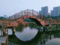 -五缘湾湿地公园