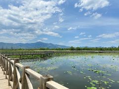 -野鸭湖国家湿地公园