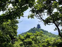 -杭州半山国家森林公园