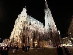 -斯蒂芬主教座堂(Stephansdom)