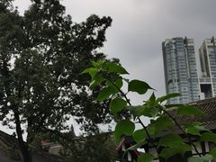 -古大圣慈寺