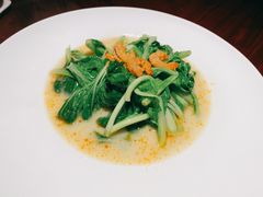 上汤鸡毛菜-解香楼(八盘岭路店)