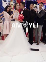 -艾米丽婚纱礼服