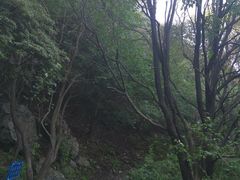 -阳台山自然风景区