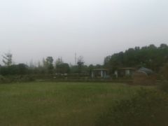 -洪湖家庭农场·团建·露营·会议