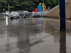 -广西体育中心-游泳馆