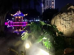 -金砂公园
