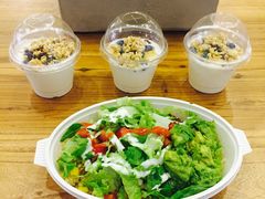 -油梨树 AVOCADO TREE(亮马桥店)