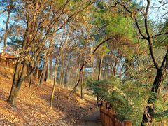 -杭州千岛湖开元度假村
