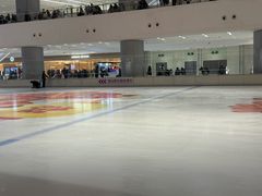 -TheRink大零溜冰场(IFS国金中心店)
