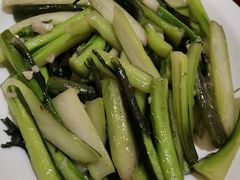 -火焰金龟甲(汉阳江滩旗舰店)