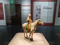 -广西壮族自治区博物馆