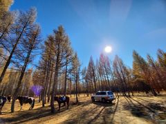 -塞罕坝国家级自然保护区