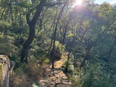 -鲁山国家森林公园