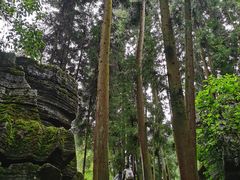 -梭布垭石林景区