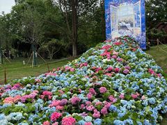 -武汉园博园(武汉自然博物馆)