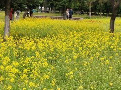 -长春公园(普阳街道)