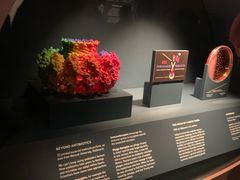 -墨尔本博物馆(Melbourne Museum)