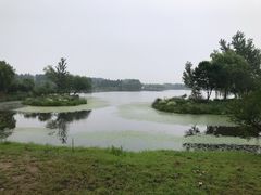 -东郊湿地公园