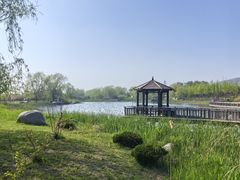 -羊亭河湿地公园