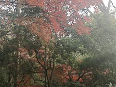 -杭州少年儿童公园