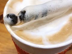 珍珠拿铁咖啡-CoCo都可(天河又一城店)