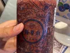 -野萃山·潮汕厚果汁(十亩地店)