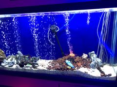 -MOJO密室逃脱(中街旗舰店)