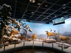 -陕西自然博物馆